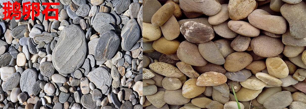 鵝卵石 鵝卵石